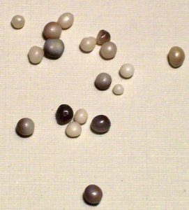 How to recognize genuine pearls