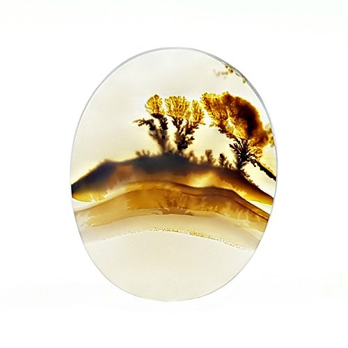 dendritic agate یا سنگ شجر