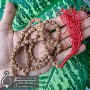 rudraksha-mala-rosary-108-beads-500093-javaherlux.com-تسبیح رودراکشا مالا 5 موکی 108 دانه 45 سانتی جواهرلوکس